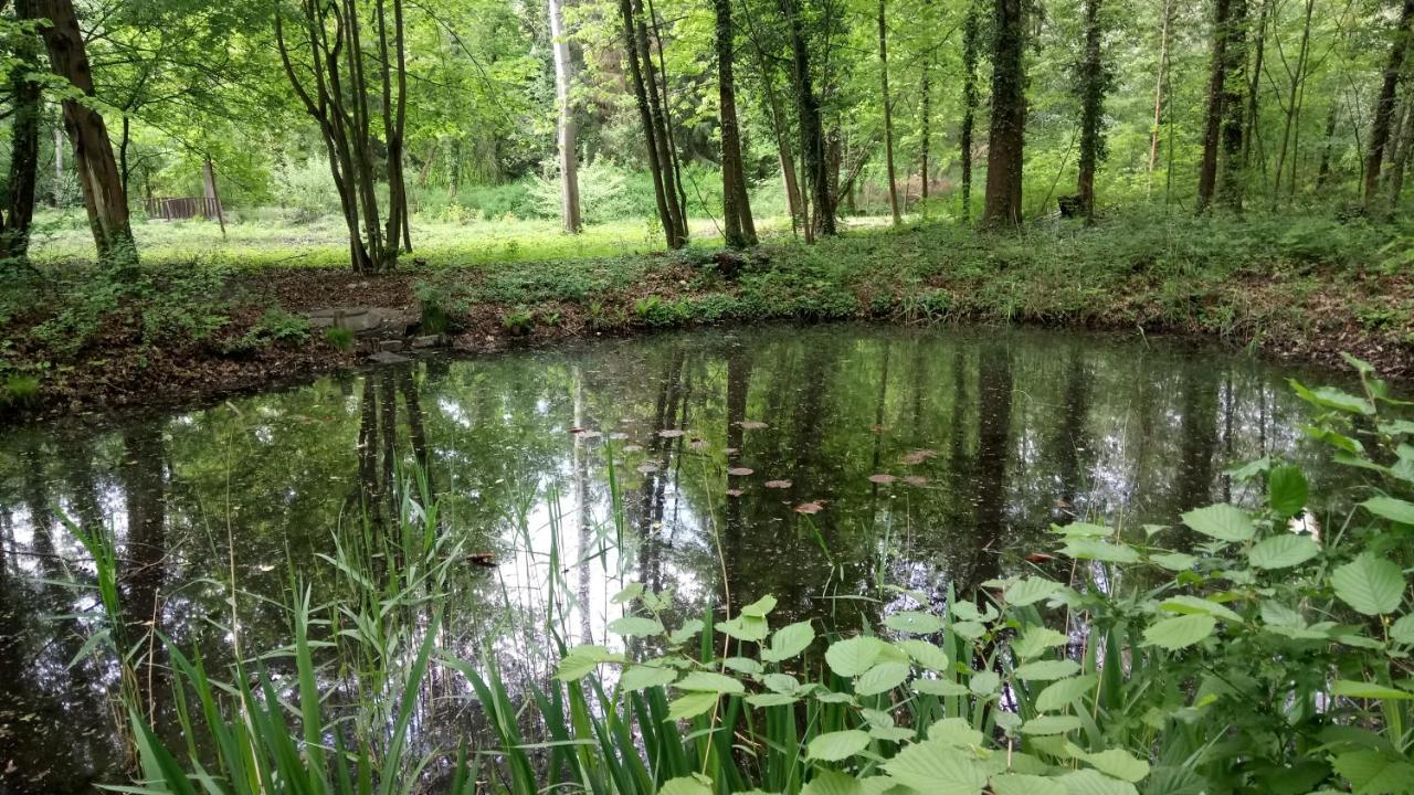 Haus Waldidyll Appartement Lauta Buitenkant foto