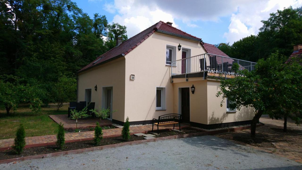 Haus Waldidyll Appartement Lauta Buitenkant foto